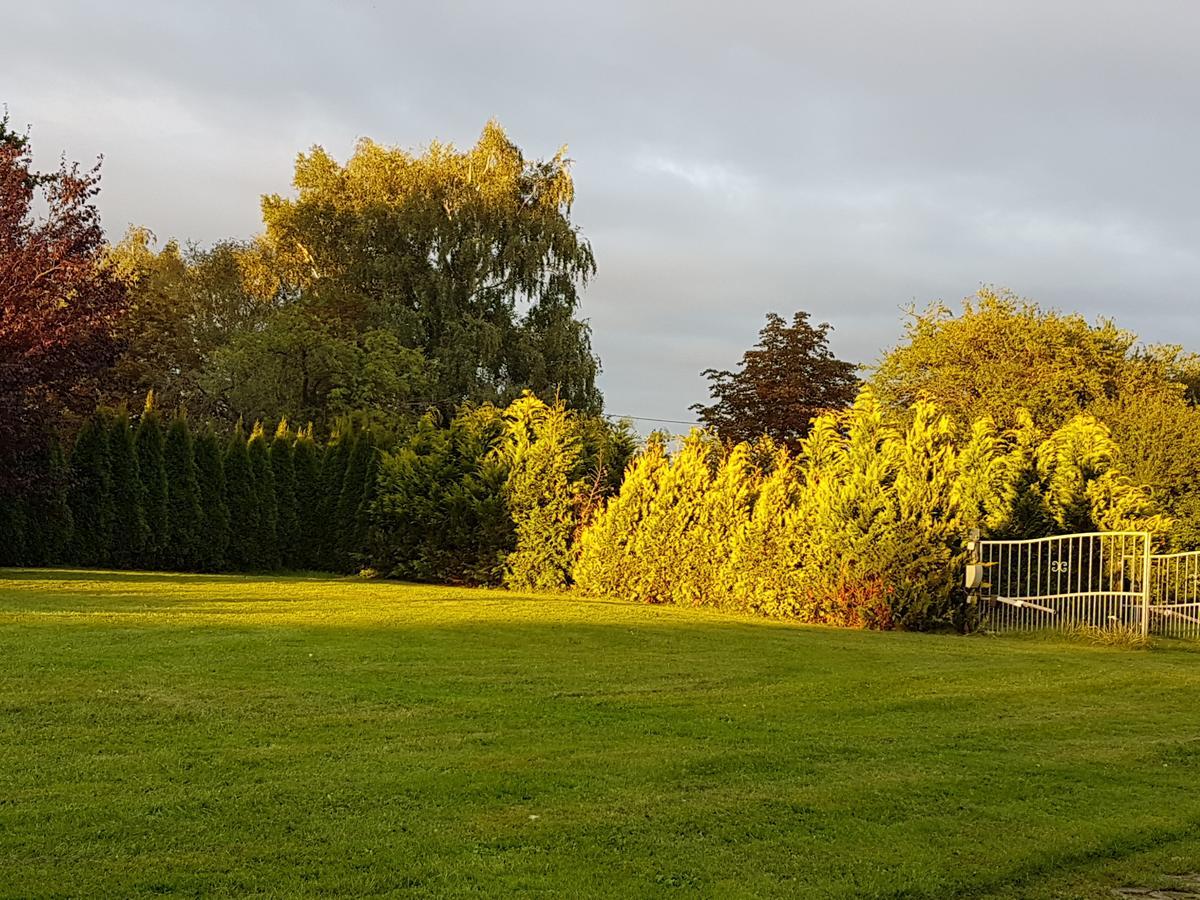 Fewo am Saalerbodden Bartelshagen  Buitenkant foto